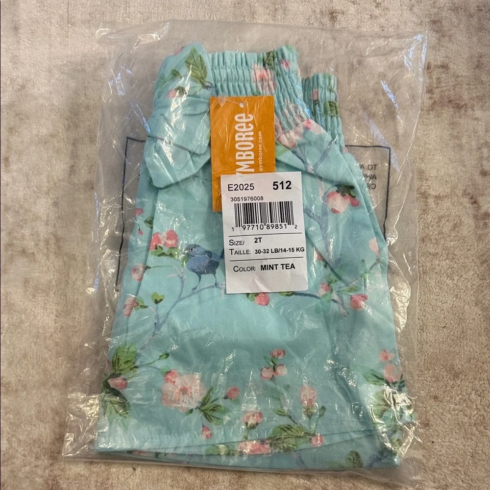 Gymboree Floral Aqua Skirt